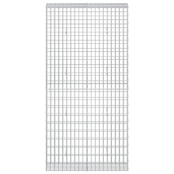 Gabion 5 mm langasta ja 5x10 cm verkosta 100x30x200 cm