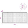 Gabion 5 mm langasta ja 5x10 cm verkosta 250x50x100 cm