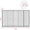 Gabion 5 mm langasta ja 5x10 cm verkosta 250x50x150 cm