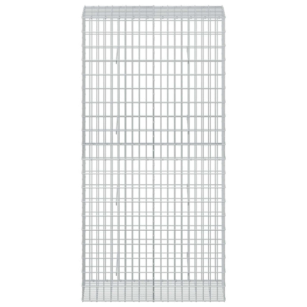 Gabion 5 mm langasta ja 5x10 cm verkosta 100x50x200 cm