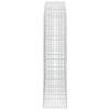 Gabion 5 mm langasta ja 5x10 cm verkosta 200x50x200 cm