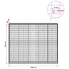 Gabion 5 mm langasta ja 5x10 cm verkosta 250x50x200 cm