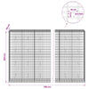Gabion 5 mm langasta ja 5x10 cm verkosta 700x50x200 cm