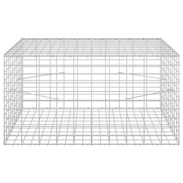 Gabion 5 mm langasta ja 5x10 cm verkosta 100x100x50 cm
