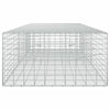 Gabion 5 mm langasta ja 5x10 cm verkosta 250x100x50 cm