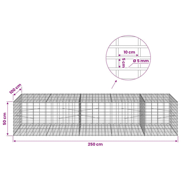 Gabion 5 mm langasta ja 5x10 cm verkosta 250x100x50 cm
