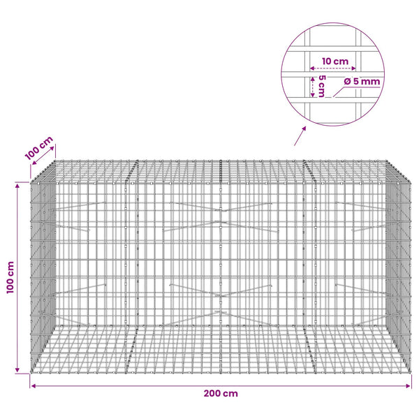 Gabion 5 mm langasta ja 5x10 cm verkosta 200x100x100 cm