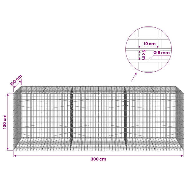 Gabion 5 mm langasta ja 5x10 cm verkosta 300x100x100 cm