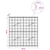 Gabion 5 mm langasta ja 10x10 cm verkosta 100x10x100 cm