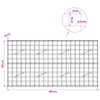 Gabion 5 mm langasta ja 10x10 cm verkosta 200x10x100 cm