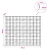 Gabion 5 mm langasta ja 10x10 cm verkosta 250x10x200 cm