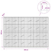 Gabion 5 mm langasta ja 10x10 cm verkosta 300x10x200 cm