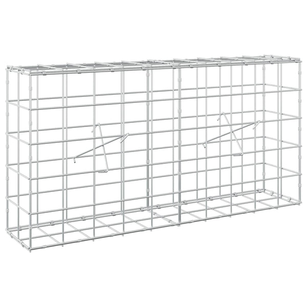 Gabion 5 mm langasta ja 10x10 cm verkosta 100x20x50 cm