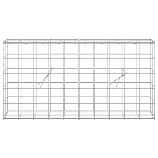 Gabion 5 mm langasta ja 10x10 cm verkosta 100x20x50 cm