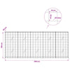 Gabion 5 mm langasta ja 10x10 cm verkosta 250x20x100 cm