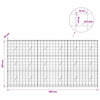 Gabion 5 mm langasta ja 10x10 cm verkosta 300x20x150 cm