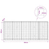 Gabion 5 mm langasta ja 10x10 cm verkosta 250x30x100 cm
