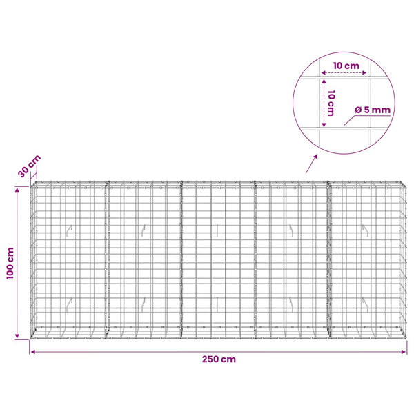 Gabion 5 mm langasta ja 10x10 cm verkosta 250x30x100 cm