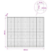 Gabion 5 mm langasta ja 10x10 cm verkosta 250x30x200 cm