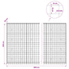 Gabion 5 mm langasta ja 10x10 cm verkosta 800x30x200 cm