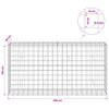 Gabion 5 mm langasta ja 10x10 cm verkosta 200x50x100 cm