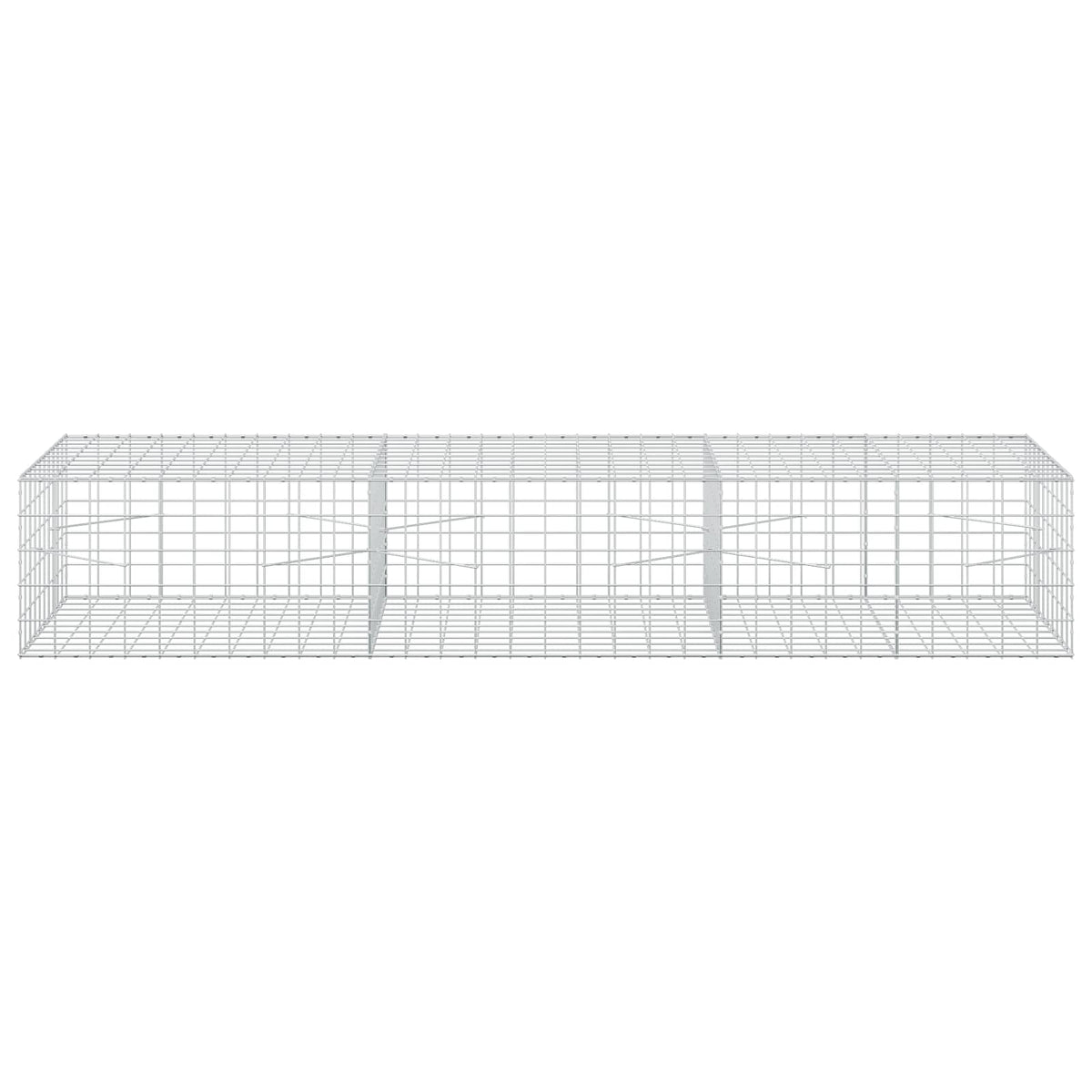 Gabion 5 mm langasta ja 10x10 cm verkosta 300x100x50 cm