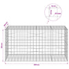 Gabion 5 mm langasta ja 10x10 cm verkosta 200x100x100 cm