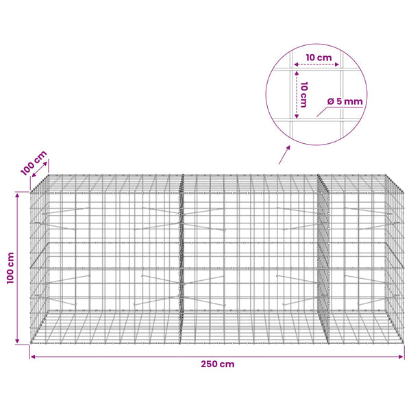 Gabion 5 mm langasta ja 10x10 cm verkosta 250x100x100 cm