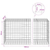 Gabion 5 mm langasta ja 10x10 cm verkosta 1000x100x100 cm