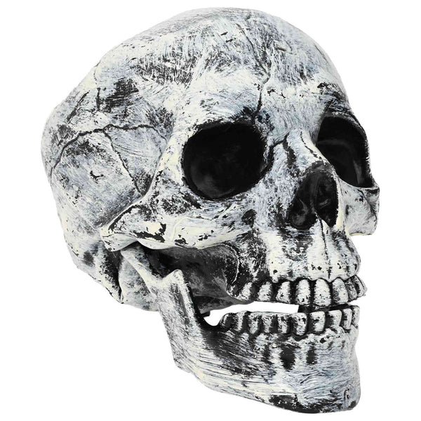 Halloween-pääkallo SPOOKA 2 kpl valkoinen 12 x 15 x 17.5 cm