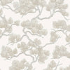 DUTCH WALLCOVERINGS Tapetti mänty valkoinen