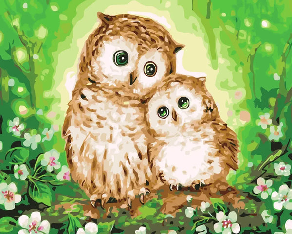 Loving Owls - Paint By Numbers