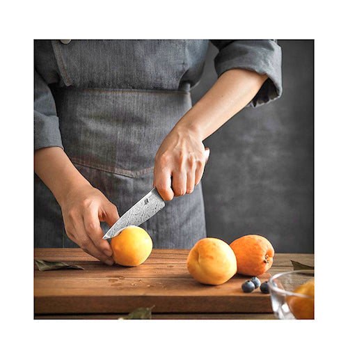 Xinzuo Jiang Damascus Vihannesveitsi 13 cm