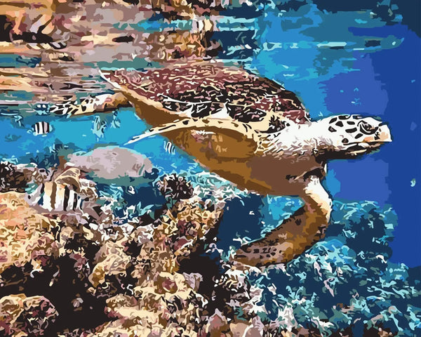 Aquatic Adventures - Paint By Numbers