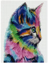Colorful Feline 30x40cm - Timanttimaalaus