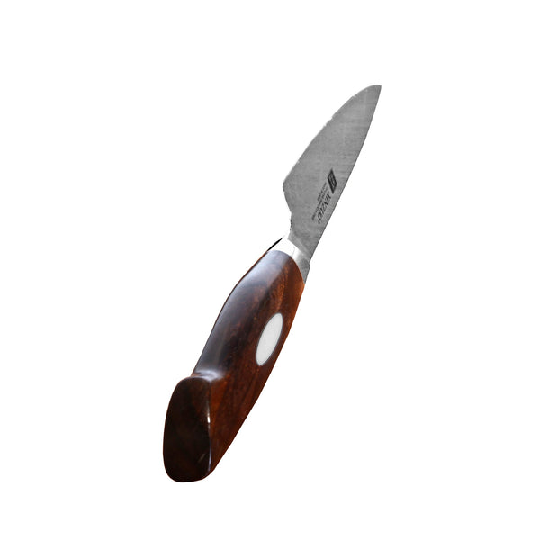 Xinzuo Jiang Damascus Vihannesveitsi 13 cm