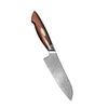 Xinzuo Jiang Damascus Minisantokuveitsi, 14 cm