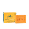 Solid shampoo revitalizing 2 in 1 75 g - DR. TREE