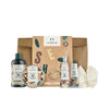 Shea Case 6 Pcs
