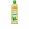 Té verde kölninvesi 750 ml - NATURAL HONEY