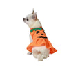 Koiran Kurpitsapuku Halloween Koko L