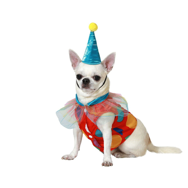 Koiran Halloween-asu Koko M