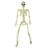 Valkoinen Luuranko 82 cm - Halloween-koriste