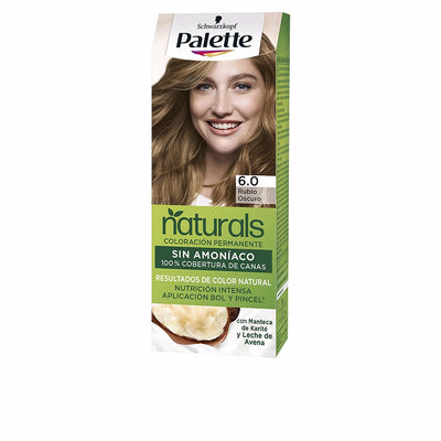 Palette natural väriaine #6.0-tummanvaalea 1 kpl - PALETTE