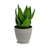 Koristekasvi Aloe Vera Muovinen 15 x 23,5 x 15 cm