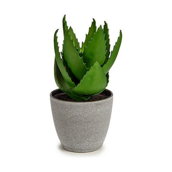 Koristekasvi Aloe Vera Muovinen 15 x 23,5 x 15 cm