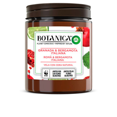 Botanica vela granaattiomena & bergamotti 205 gr - AIR-WICK