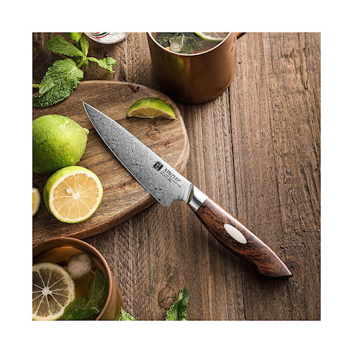 Xinzuo Jiang Damascus Vihannesveitsi 13 cm