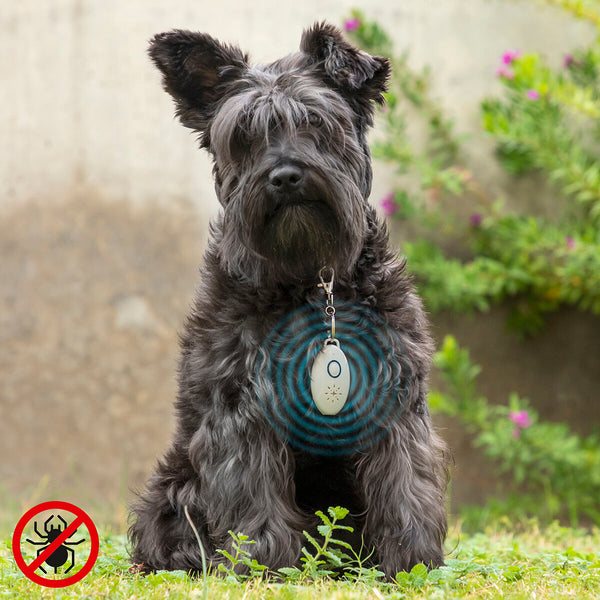 Ladattava Ultraääni Loiskarkotin Lemmikille