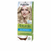 Palette Natural Dye #12.1 - Extra Light Ash Blonde 1 U
